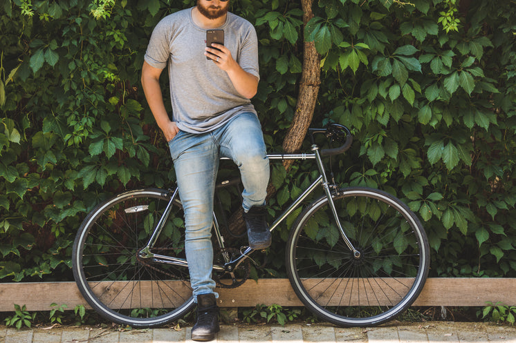 Bike And Phone