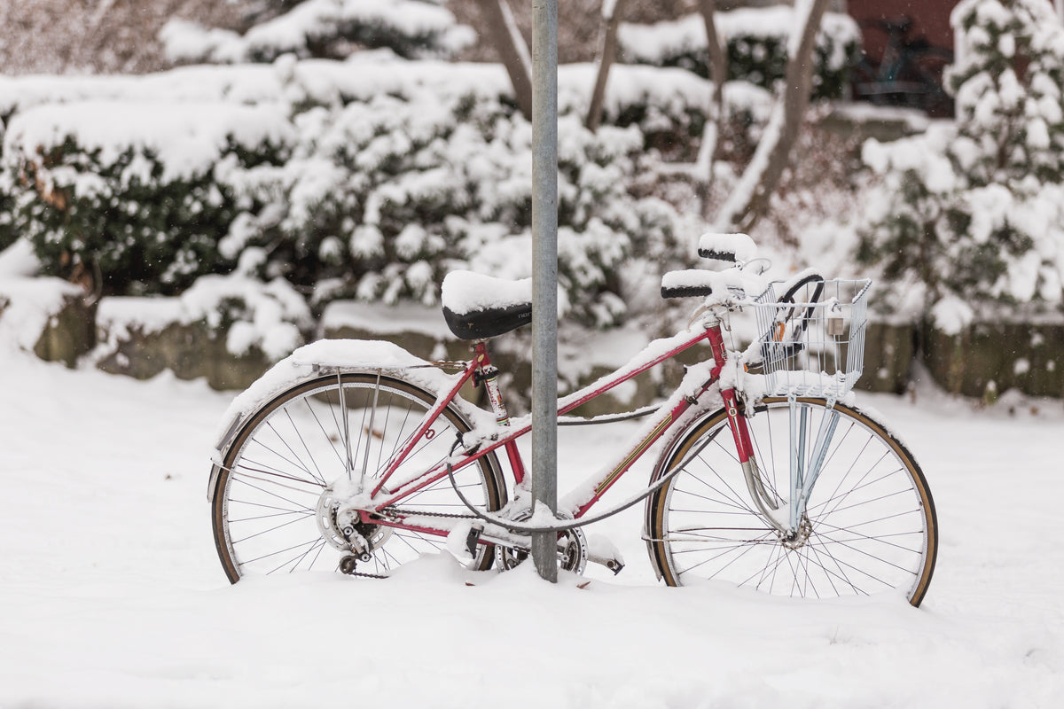 被雪覆盖的自行车