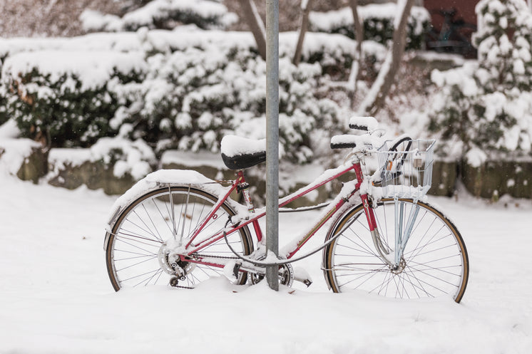 雪覆蓋的自行車(chē)