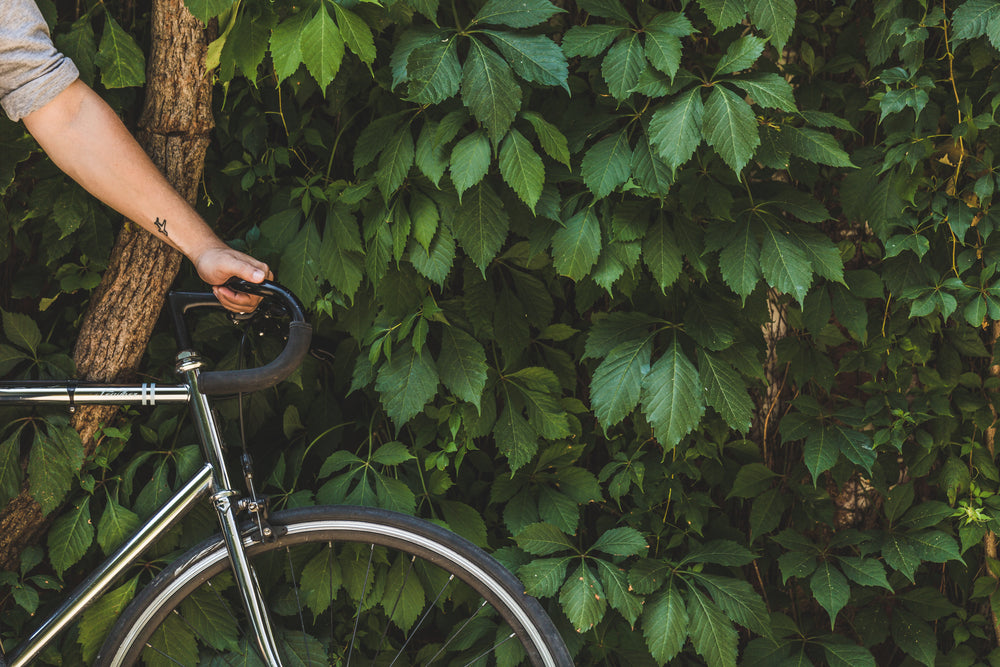 bike & vines