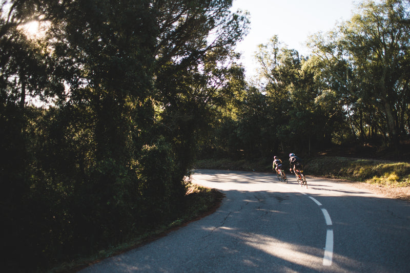 Master the Speed: Demystifying Throttle-Based E-Bikes