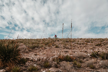 biking in the desert