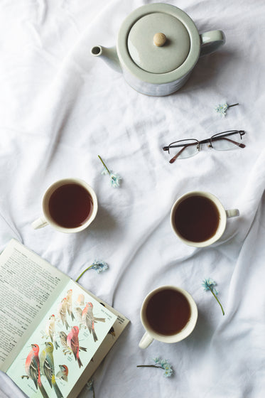 bird book and tea time