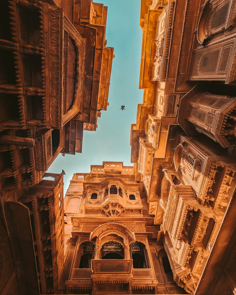 bird flies over the patwon ki haveli in india