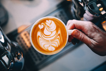 bird image in latte art