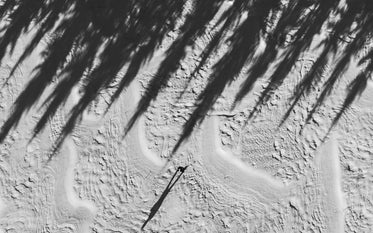 bird's-eye view of person and forest shadows on winter snowscape