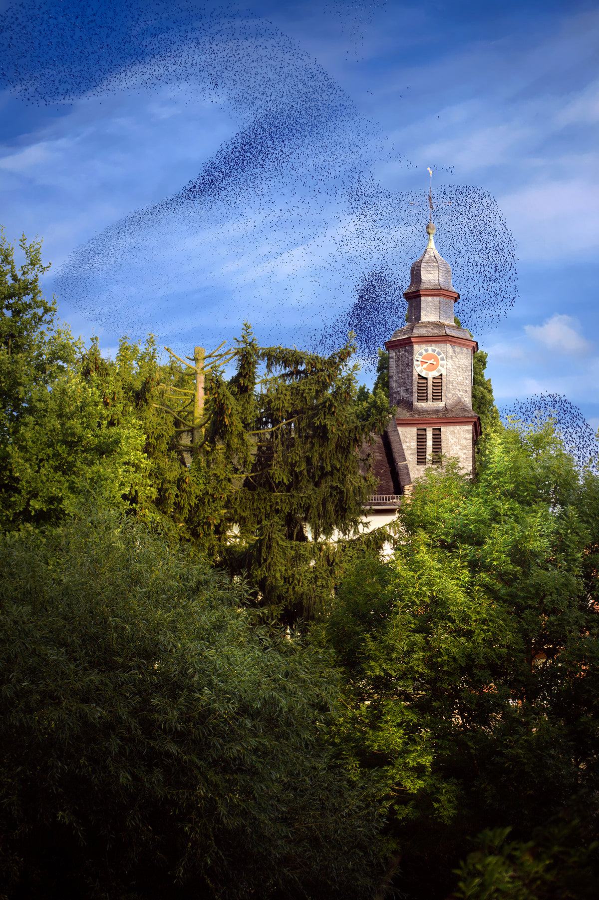 bird swarm above old building in the forest