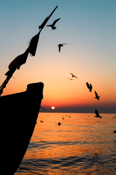 birds and boats at sunrise