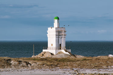 birds circling lighthouse by the sea