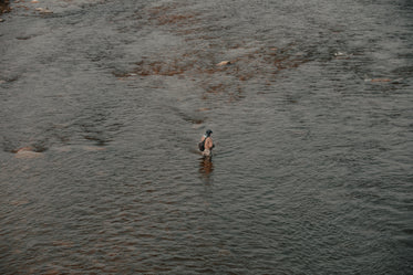 birds eye view of a fisherman standing in the river