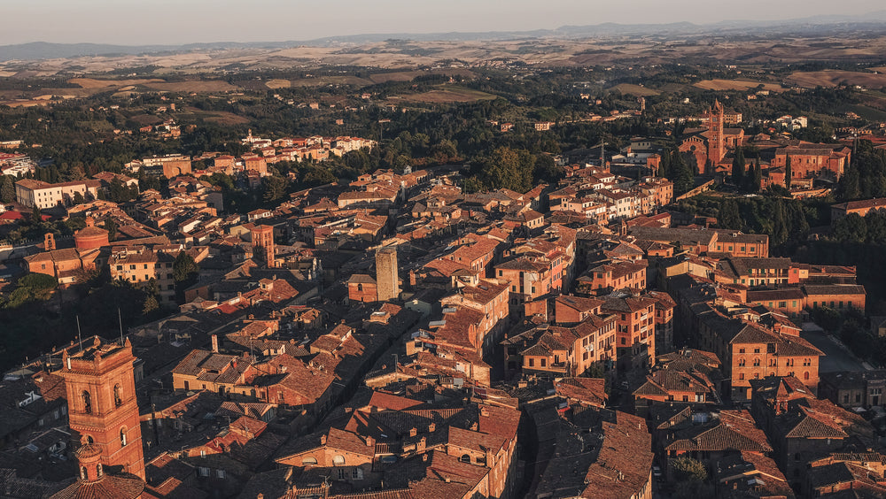 birds eye view of a sunkissed town in italy