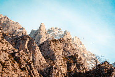 birds flying up to snowy mountain top