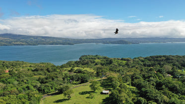 birdseye view of the bay