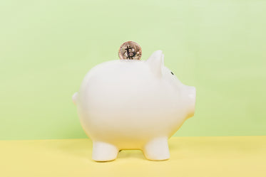 bitcoin and piggy bank
