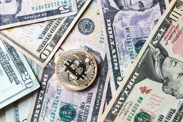 Picture of Bitcoin Coin On Bills Of Cash Money — Free Stock Photo