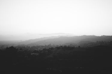 black and white fog rolling over hills and trees