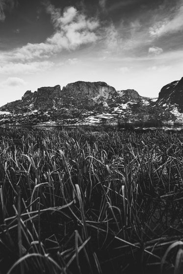 black and white mountains viewed from below