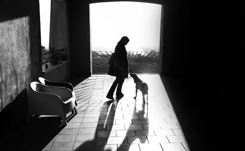 black and white photo of a person and their dog silhouetted