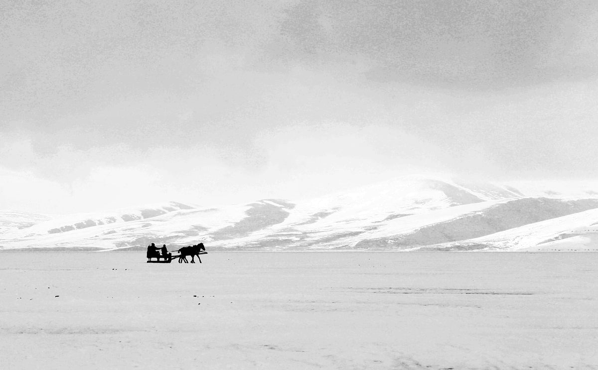 黑白照片，白色的山和马拉的雪橇