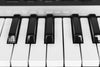 black and white piano keys close up