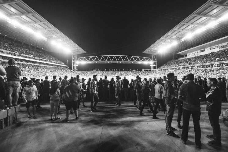 Black And White Stadium