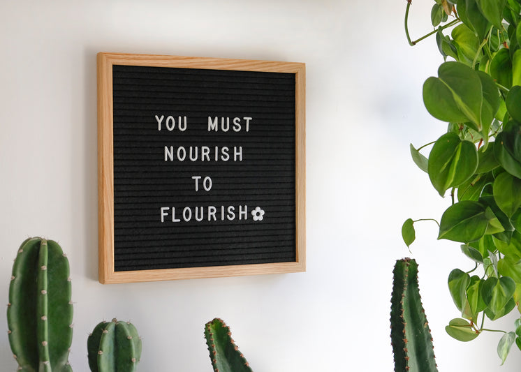 black-board-reads-you-must-nourish-to-fl