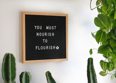 black board reads you must nourish to flourish