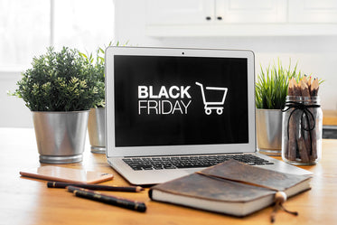 black friday shopping at home