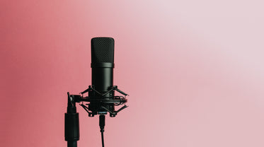 black microphone set against a pink background