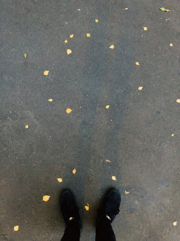 black shoes on contrete with scattered leaves