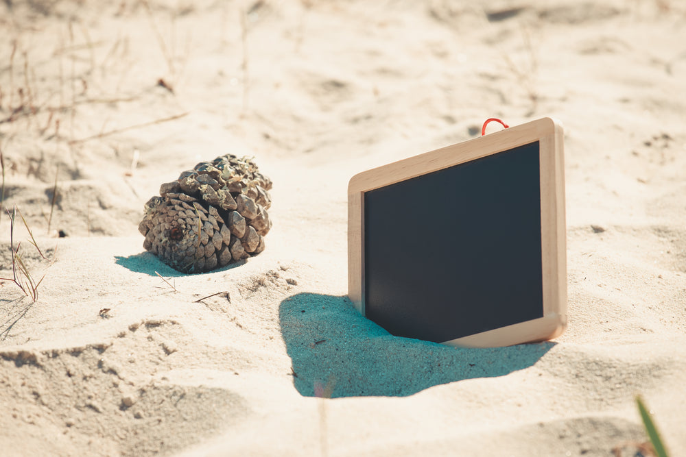 blank chalkboard sticks out of the sand at the beach