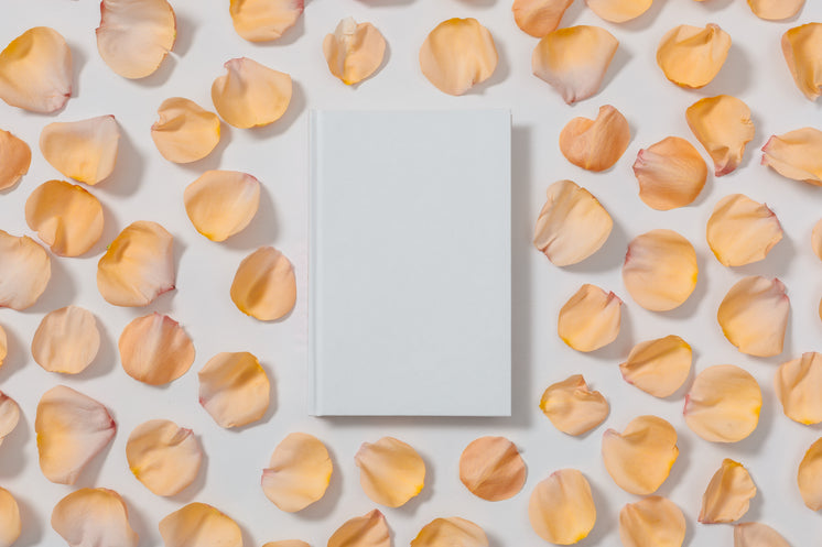 blank-white-book-with-rose-pedals.jpg?width=746&format=pjpg&exif=0&iptc=0