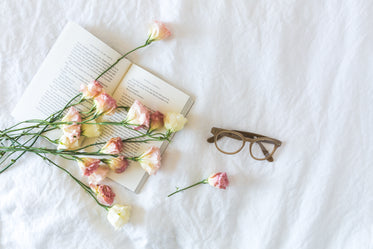 blossoms on pages & linnen