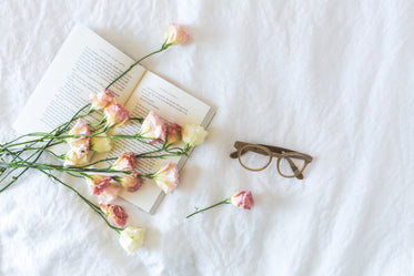 Free Blossoms On Pages & Linnen Photo — High Res Pictures