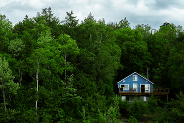 blue cottage in green forest