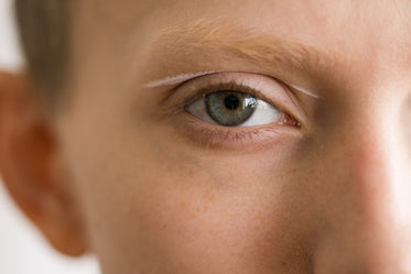 Free Stock Photo of Blue Eyed Boy — HD Images