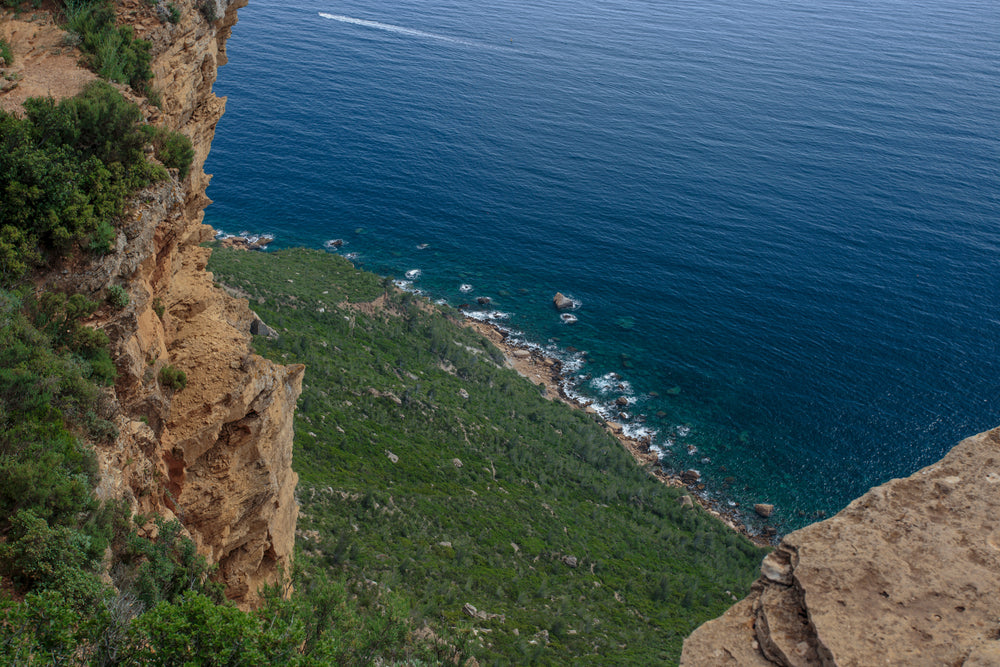 blue ocean meets green shores