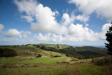 blue skies and rolling hills