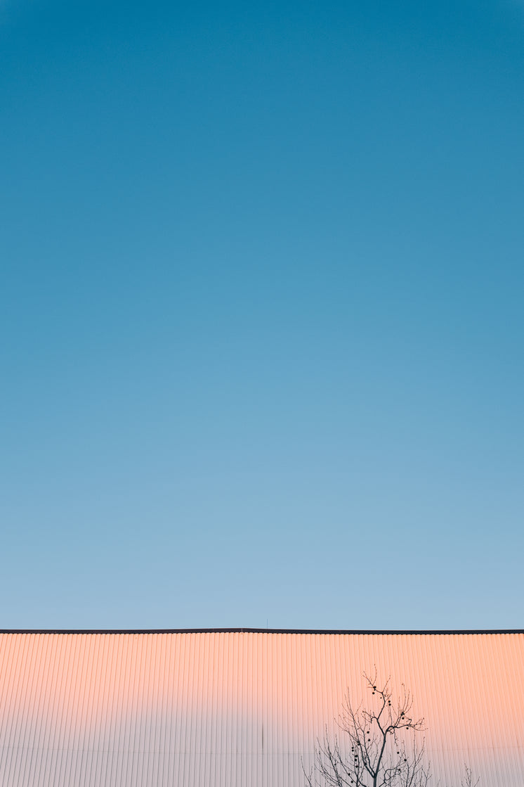 blue-skies-with-pink-sunset-bouncing-off-building.jpg?width=746&format=pjpg&exif=0&iptc=0