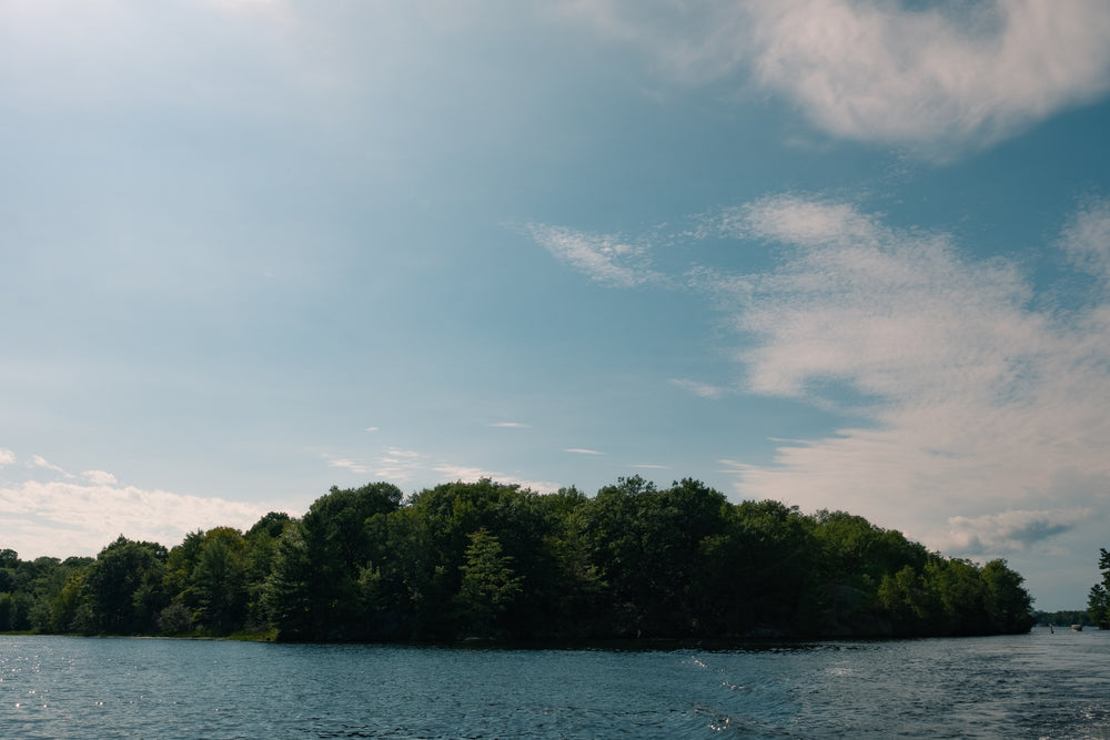 blue sky and small lush island