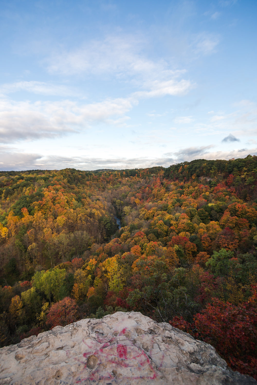 blue sky over red green and orange fall leaves