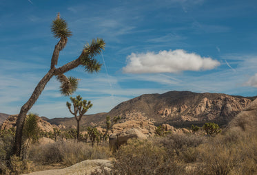 blue sky over summer desert