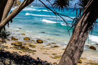 blue waves roll over pebbles on a palm tree-lined beach