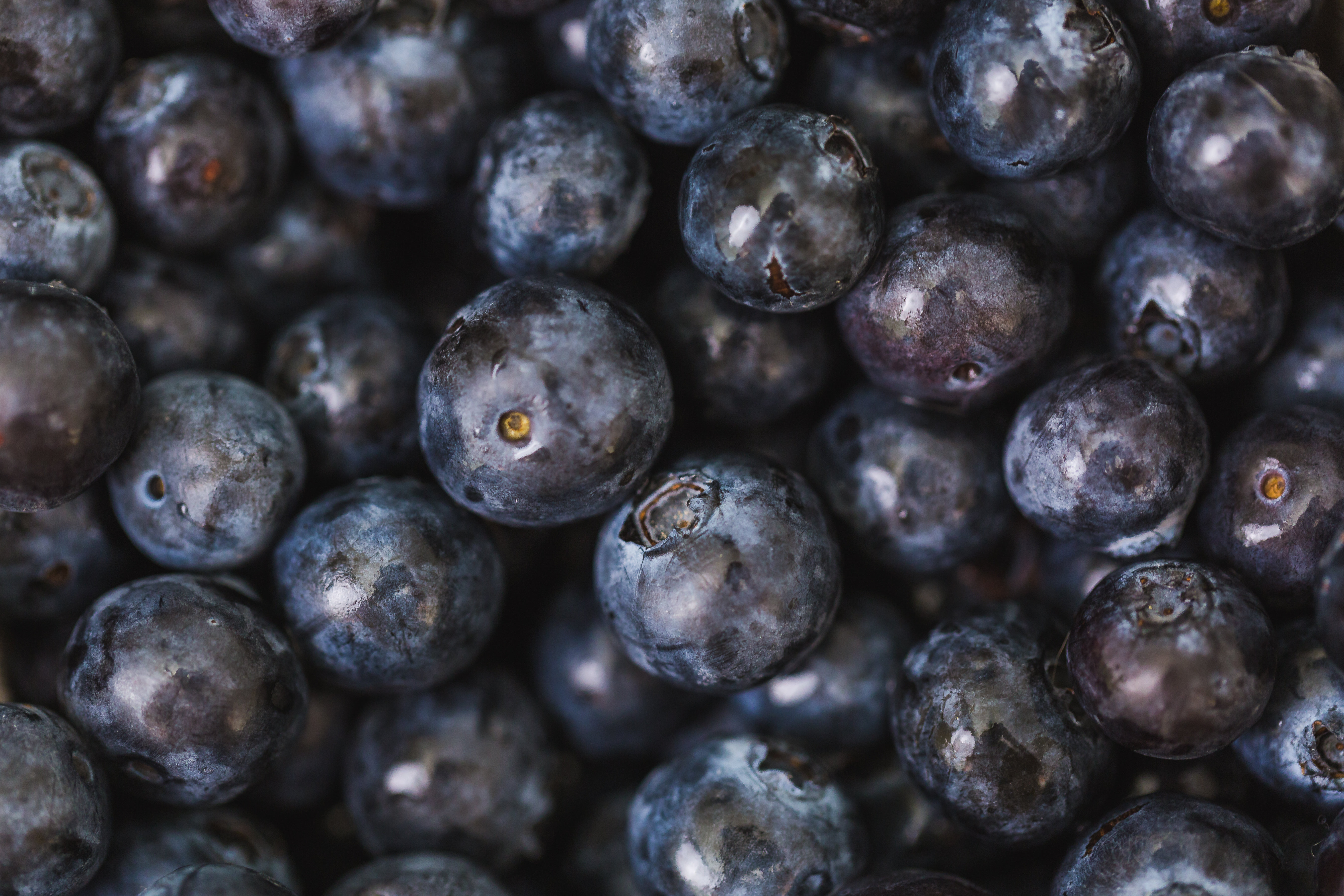 Blueberries Cloesup Pile