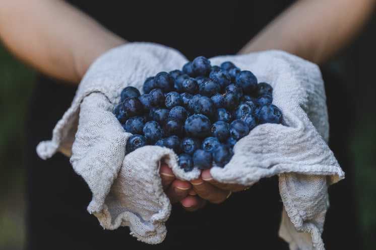 blueberries-in-hand.jpg?width=746&format