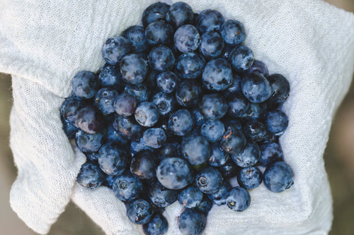 blueberries on linen