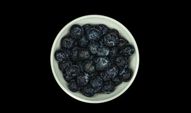 blueberry bowl against black