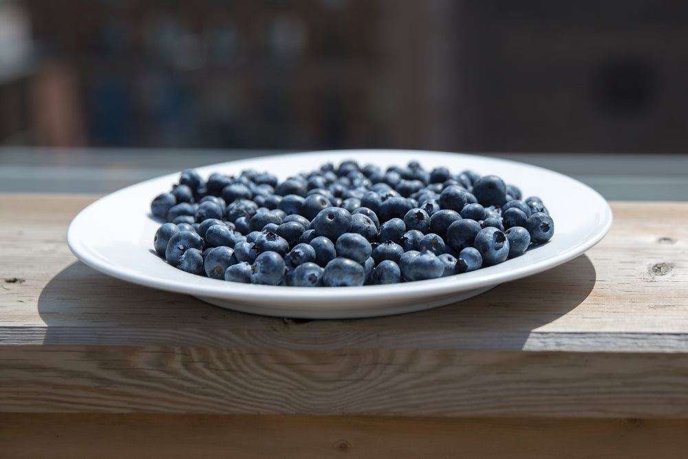 blueberry plate on patio