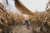 blurry runner through farm field