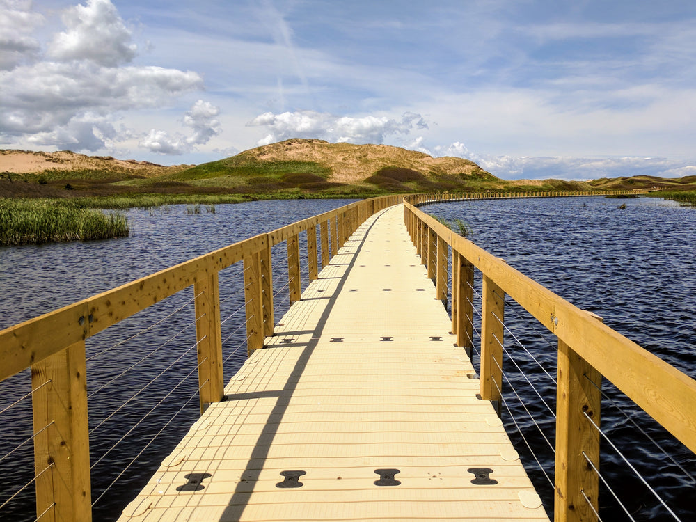 boardwalk over water